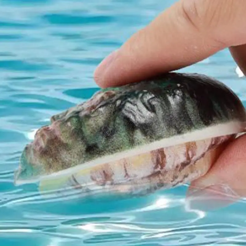 Arroseur pour enfants, nouveauté, jouets de pulvérisation d'eau, en forme de coquille, Type poussoir, jouet amusant, nouveauté, activités de plage pour adultes