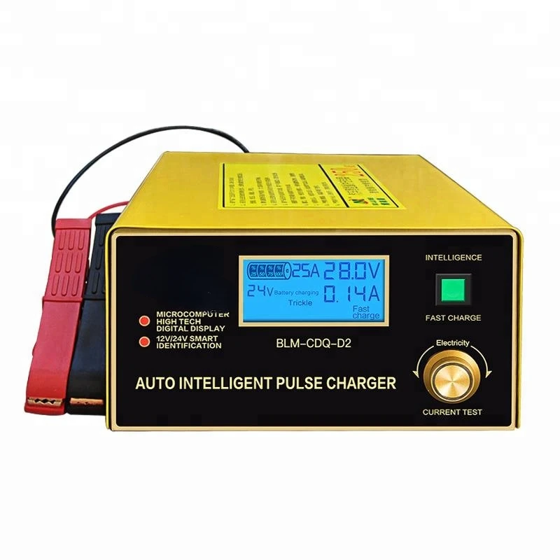 High Current 30A 12v 24v Car Battery Charger Truck Vehicle Lifeboat Battery Charger with LCD Display