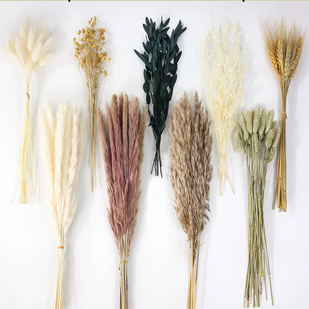 ช่อดอกหญ้าแพมพัสแห้ง 100 ชิ้น พร้อมดอกกระต่ายหางนก สำหรับตกแต่งงานแต่งงาน งานปาร์ตี้ ของตกแต่งบ้านสไตล์โบโฮ
