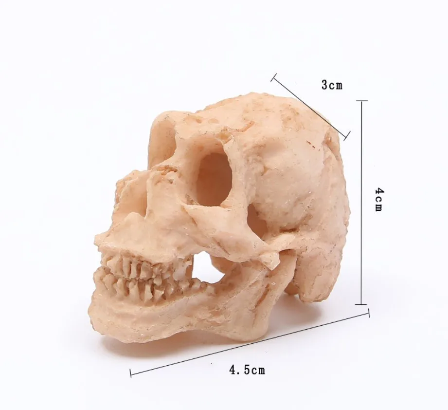 محاكاة تمثال منظر طبيعي زخرفة ، كهف الزواحف ، وحيد القرن الاصطناعي ، جمجمة راتنج الغنم ، ديكور حوض أسماك ، حوض أسماك #6