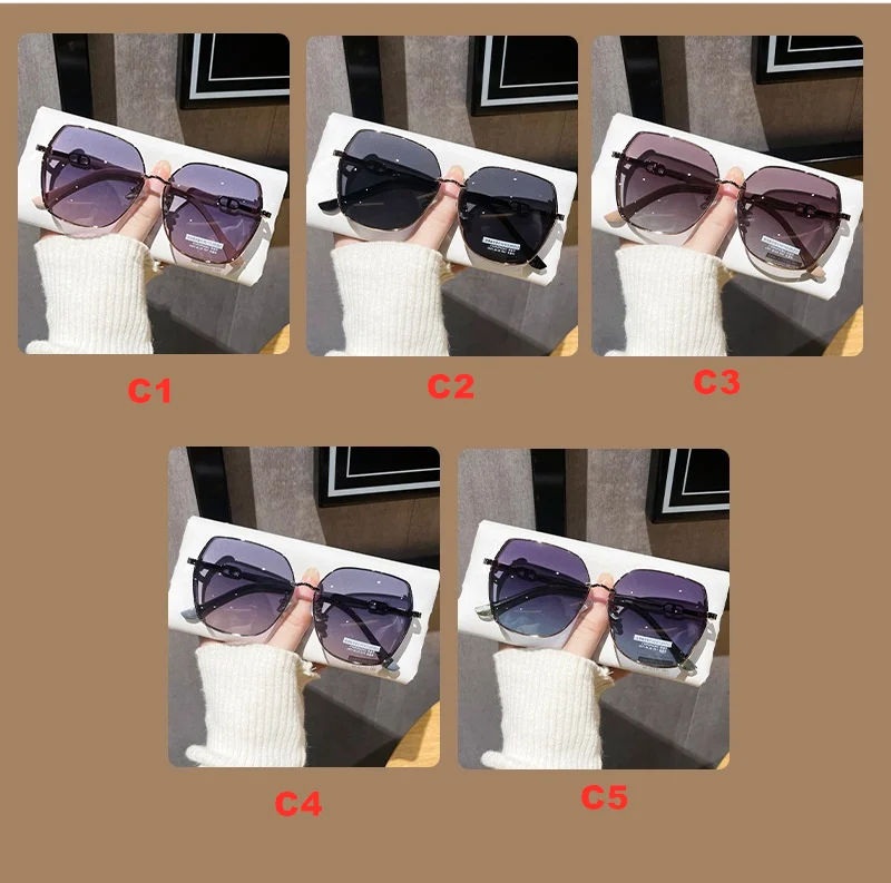 Luxuriöse polarisierte Sonnenbrille für Damen – Hochwertige, leichte DS-3134 im neuen Stil – Modisches Augenschutz-Accessoire – Detail 5