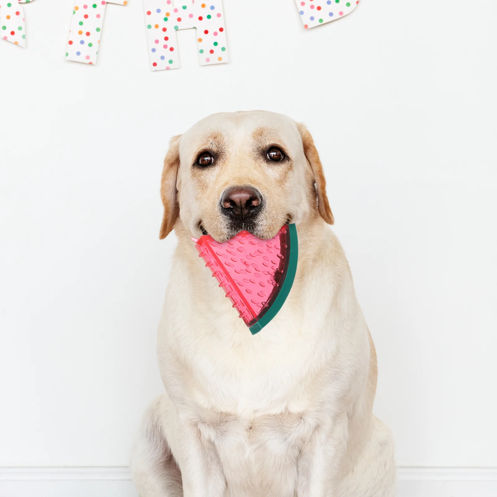 

2pcs Ice Crystal Cooling Box Dog Chew Fruit Shape Freezable Teething Interactive Play Small Medium Puppy Summer