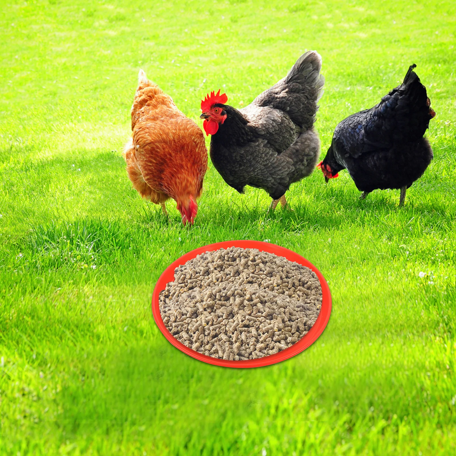 

2 pcs Chicken Feeder Tray Small Chicken Feeding Pan Durable Poultry Feeding Pads Round Food Container For Chick Duck Goose