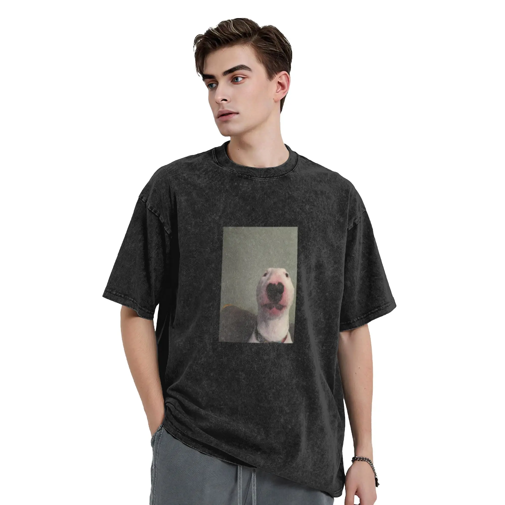 Walter the dog meme Bull Terrier Nelson Classic Trendy A Washed T Shirt Men's Women's Oversized Cotton Tees Tops