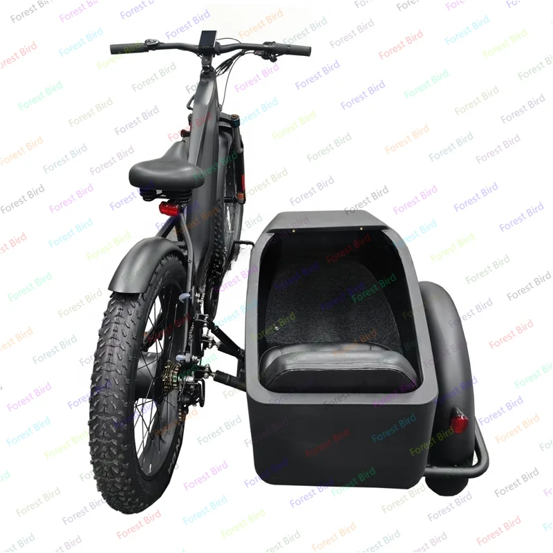 750w ukryta bateria litowa Etrike wózek boczny rower boczny samochód dla dorosłych elektryczny rower trójkołowy 3 koła Ebike elektryczny ładunek