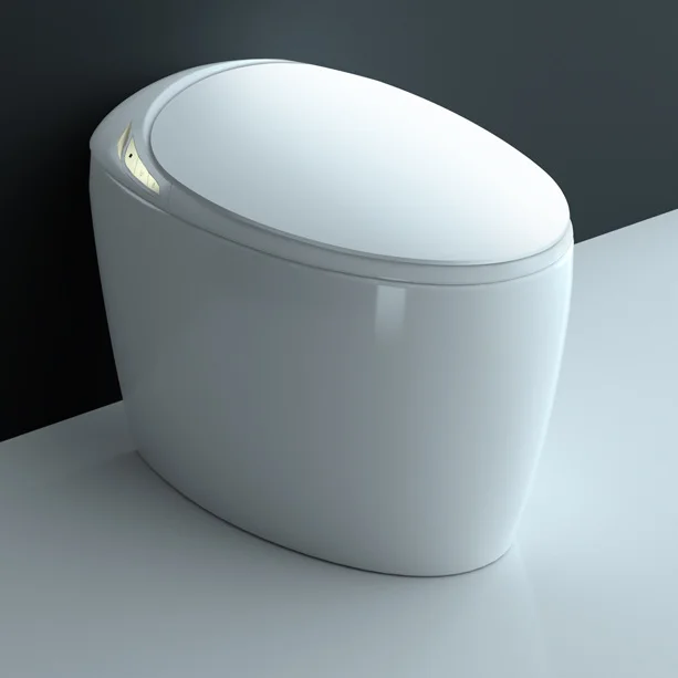 

Умный унитаз-биде SK Egg Smart WC, сифонный S-образный, керамический, напольный, с автоматическим сенсорным смывом, в комплекте с пультом ДУ, удлиненный #