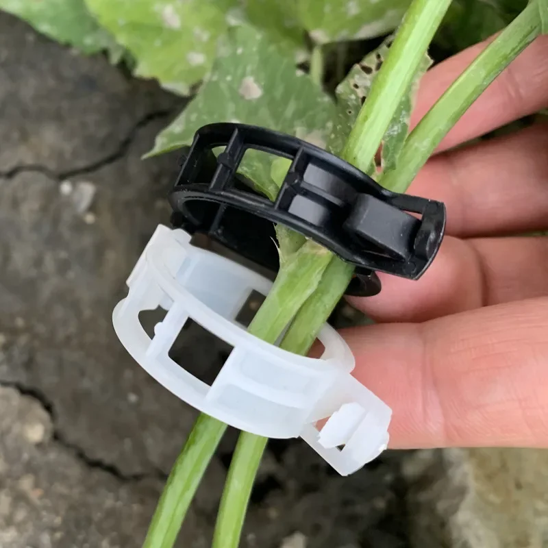 Plant Support Clips Reusable Garden Clips for Support Tomato Grape Vines Fruits Vegetable Plants Grafting Fixing Garden Tools