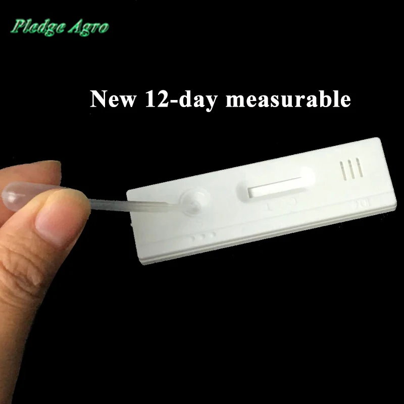 5PCS-50PCS Sow Pig Early Pregnancy Test Strip Kit Rapid Progesterone Colloidal Gold Fetation Paper Livestock Animal Farming