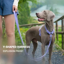 Waterproof Series Dog Collar Leash Harness Adjustable Collar Length Durable Small Dogs Medium Dogs Large Dogs Shiba Inu