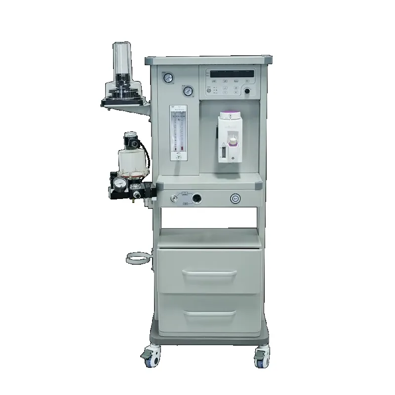 Veterinary Equipment Exotic Animal Anesthesia Machine With Ventilator Rodents Ventilator Machine