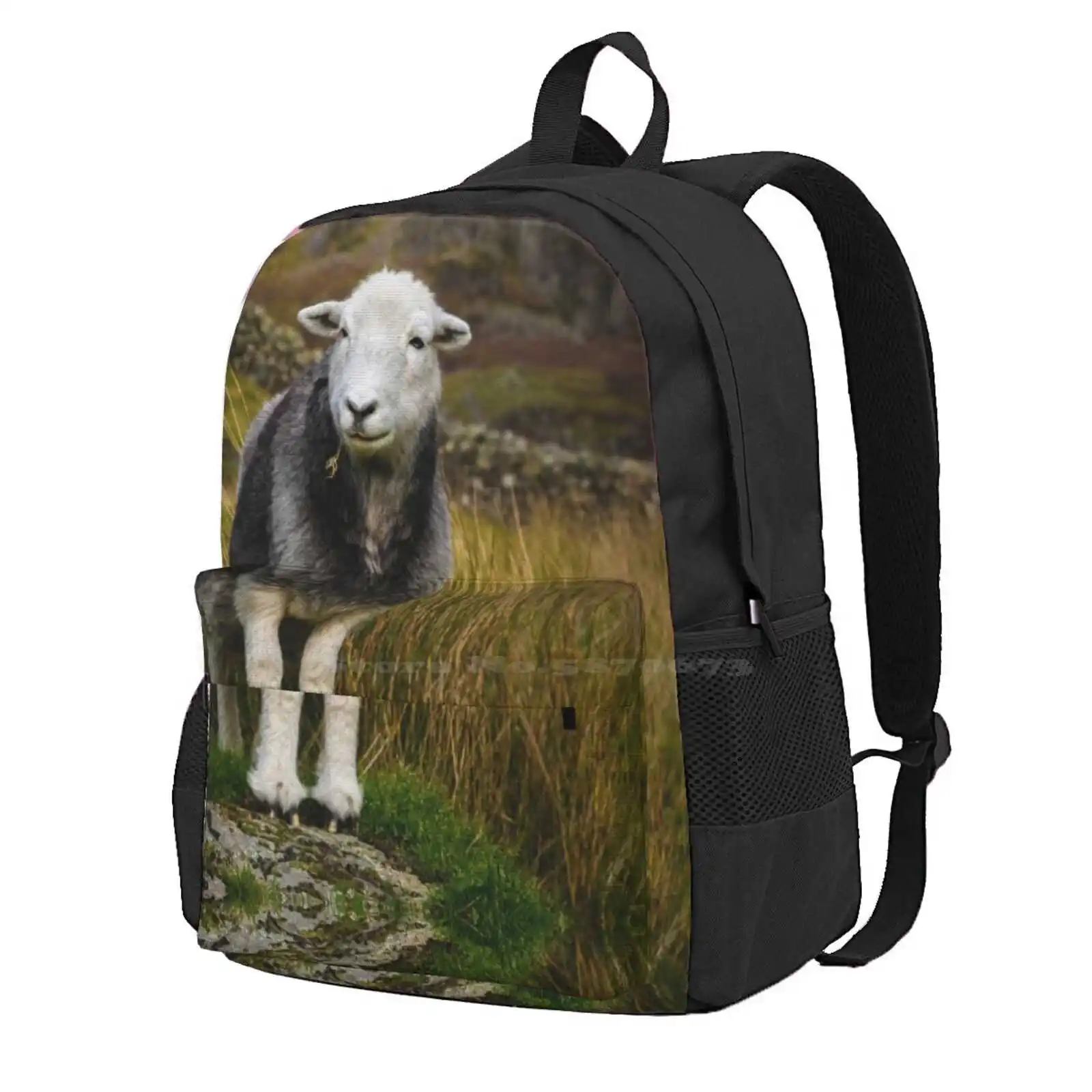 Herdwick Sheep Hot Sale Schoolbag Backpack Fashion Bags Herdwick Sheep Grey Sheep Grey And White Sheep Livestock Farm Animals