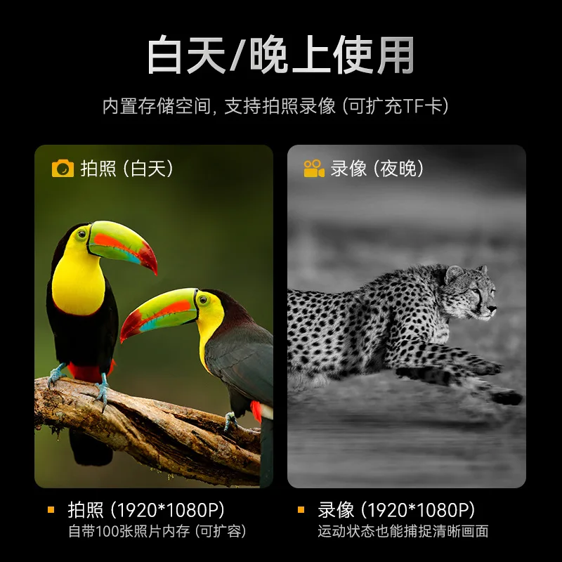 New Day Night Vision Binoculars HD Low Light Full Color Outdoor Exploration Telescope