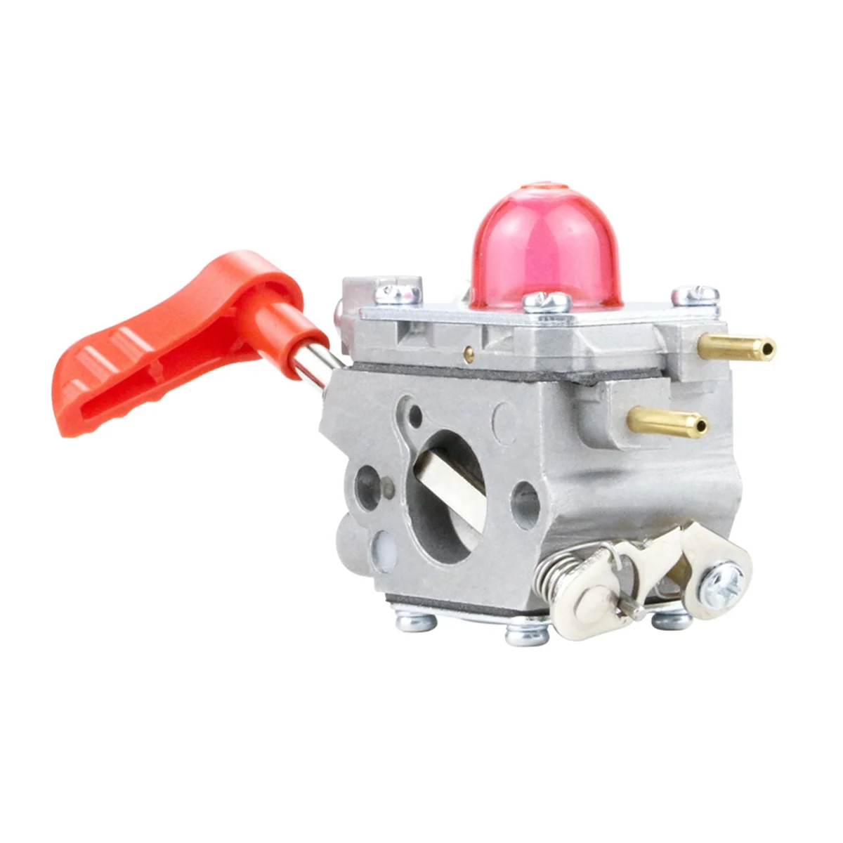 B17B 545081857 Leaf… - image