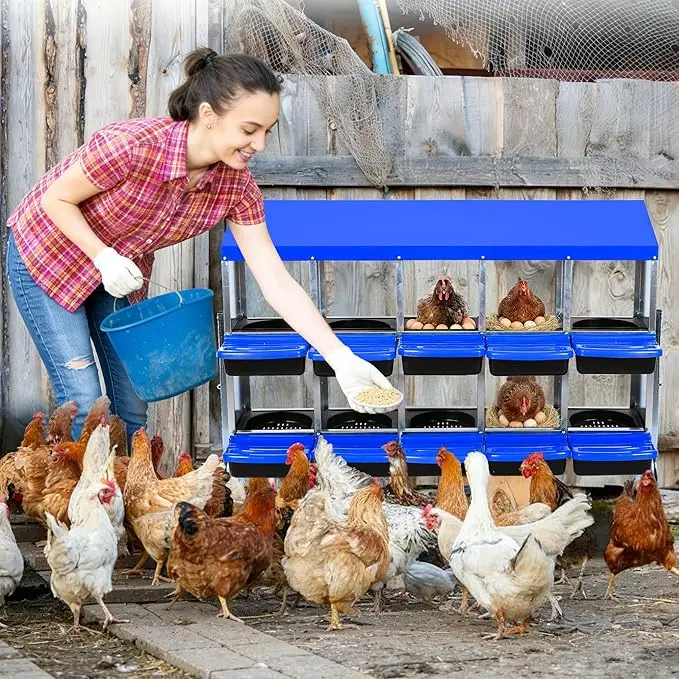 Chicken Nesting Box, 6-10 Hole Hen Nest Boxes, 2 Layer Roll Away Eggs Laying Boxes,Cleanable Pull Out Hen Roosting Boxes