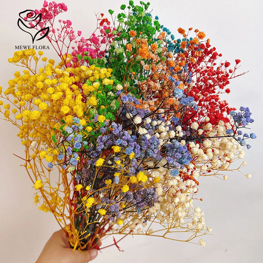 

120g Eternal Gypsophila Dried Real Flowers Home Wedding Soft Decoration DIY Flower Arrangement Baby Breath Store Window Display
