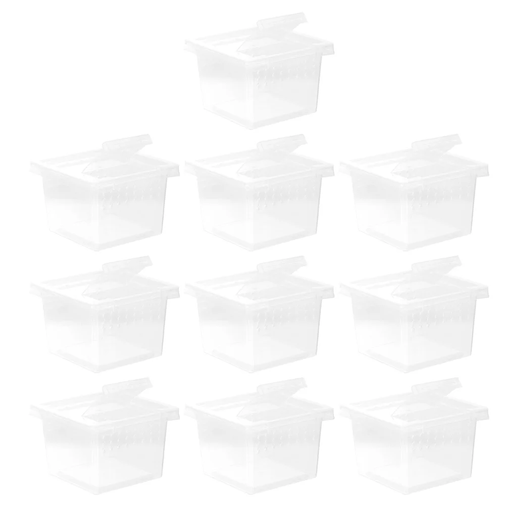 

10pcs Insect Feeding Box Transparent Reptile Habitat For Spider Lizard Gecko Snail Breeding Durable Ventilated Feed Bin