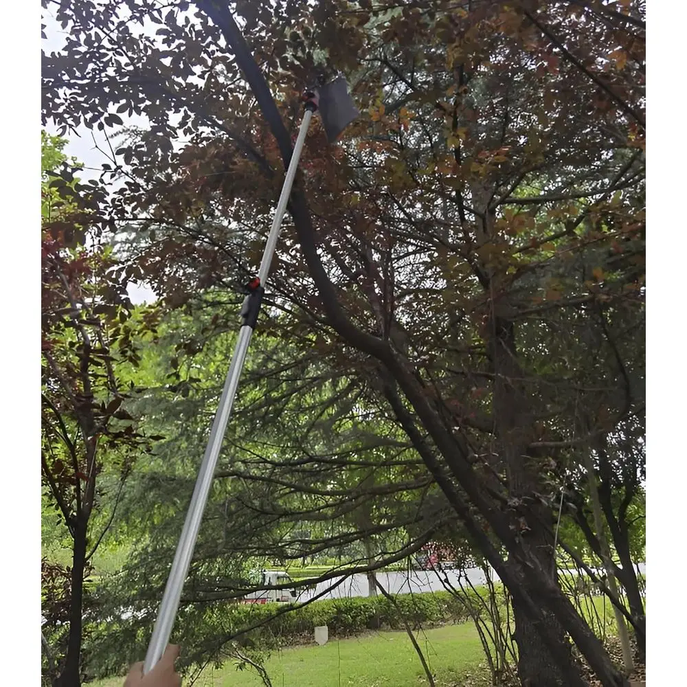 バスケット付き延長フルーツピッカー、アボカド、ドングリ、レモン、梨、マンゴーの収穫用に3～7m調節可能なポール