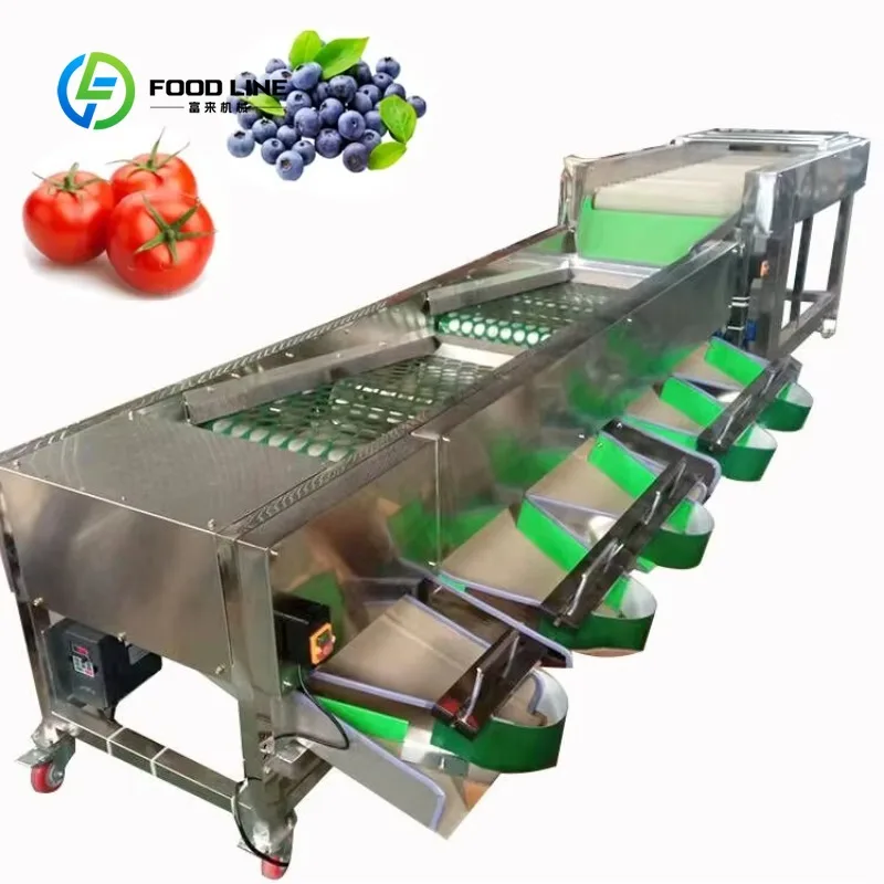 Blueberries Avocado Potato Cherry Tomato Grading Machine 4 Grades Diameter Sorting Fruits Vegetables 220V/380V Customized