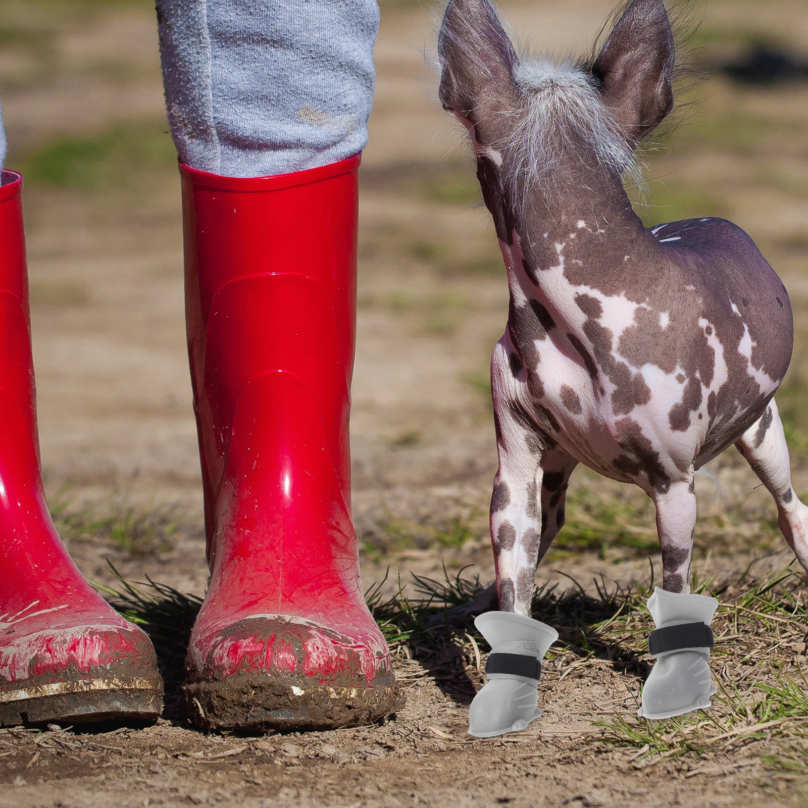

10pcs Rain Boots Socks Anti Slip Straps Dog Shoe Accessory Non Slide Fasteners Waterproof Canine Paw Cover Holders