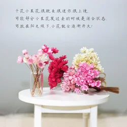 1/6 BJD Doll Dollhouse DIY Mini Real Dried Flower Bouquet Miniature Tiems Glass Vase Dolls House Accessories Gift for Girls Toys