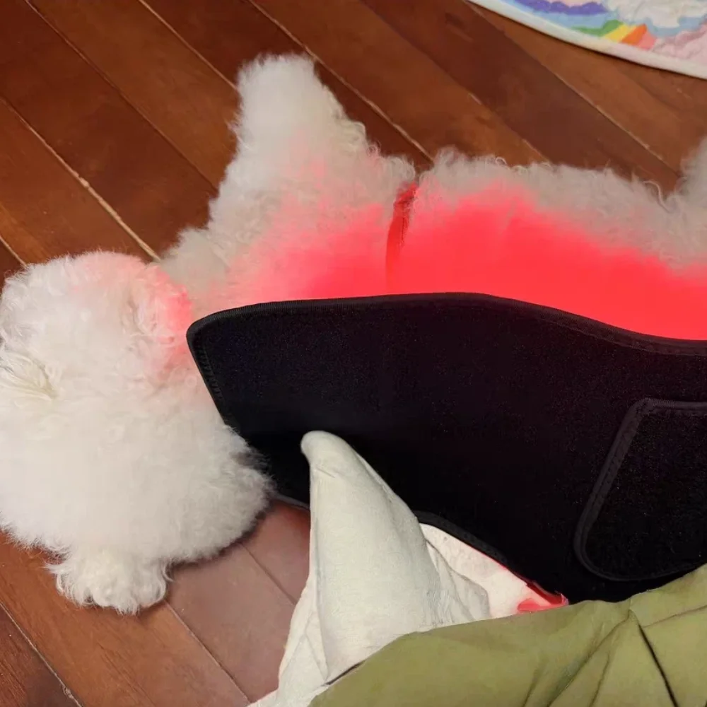 

Professional Multi-Effect Therapy Light, For Animal Pain Management and Mobility Support in Dogs, Cats & Other Pets