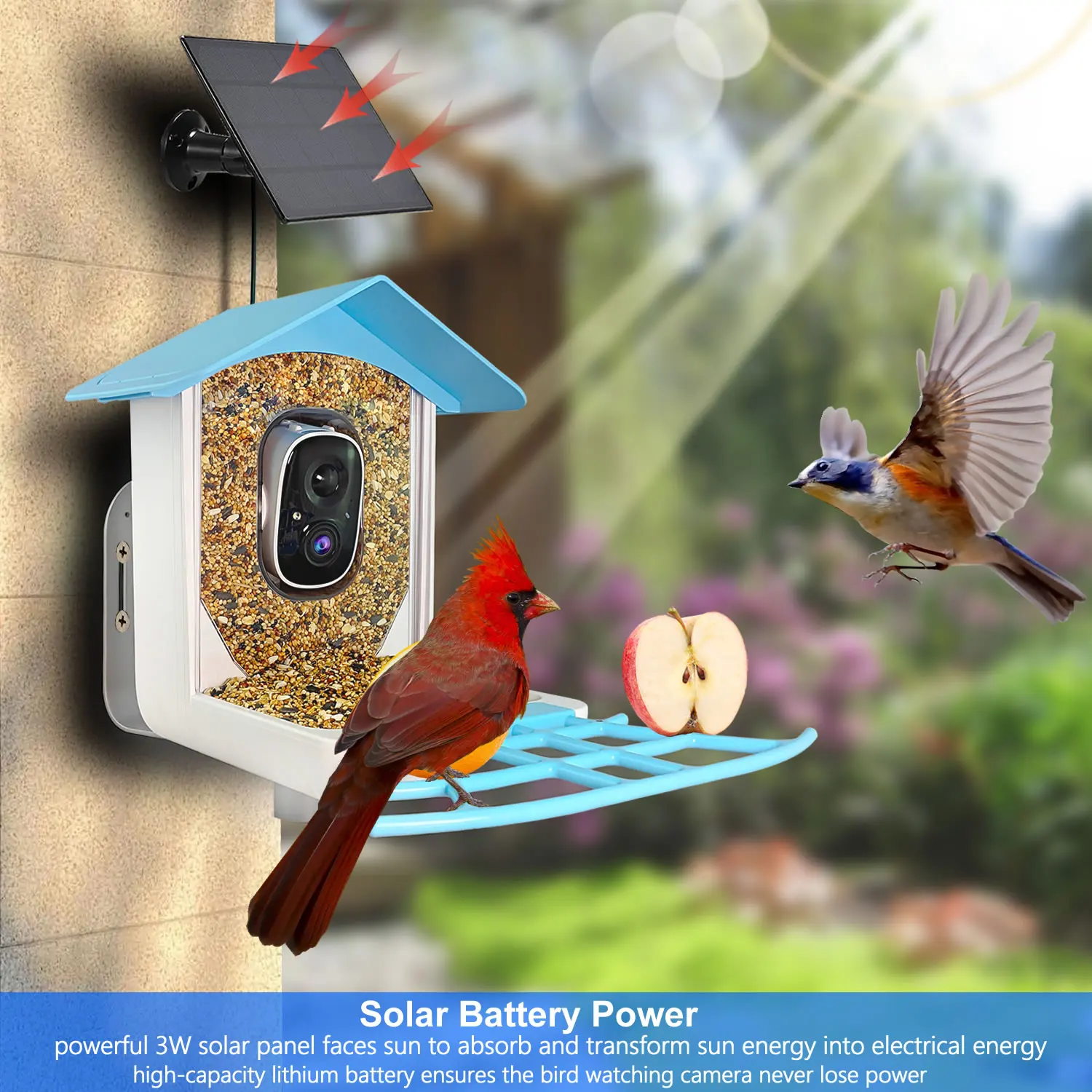 جديد في الهواء الطلق اللاسلكية الذكية AI تحديد بطارية عش الطيور منزل المغذية واي فاي كاميرا شبكة مراقبة IP مع لوحة طاقة شمسية وبطاقة الذاكرة #2