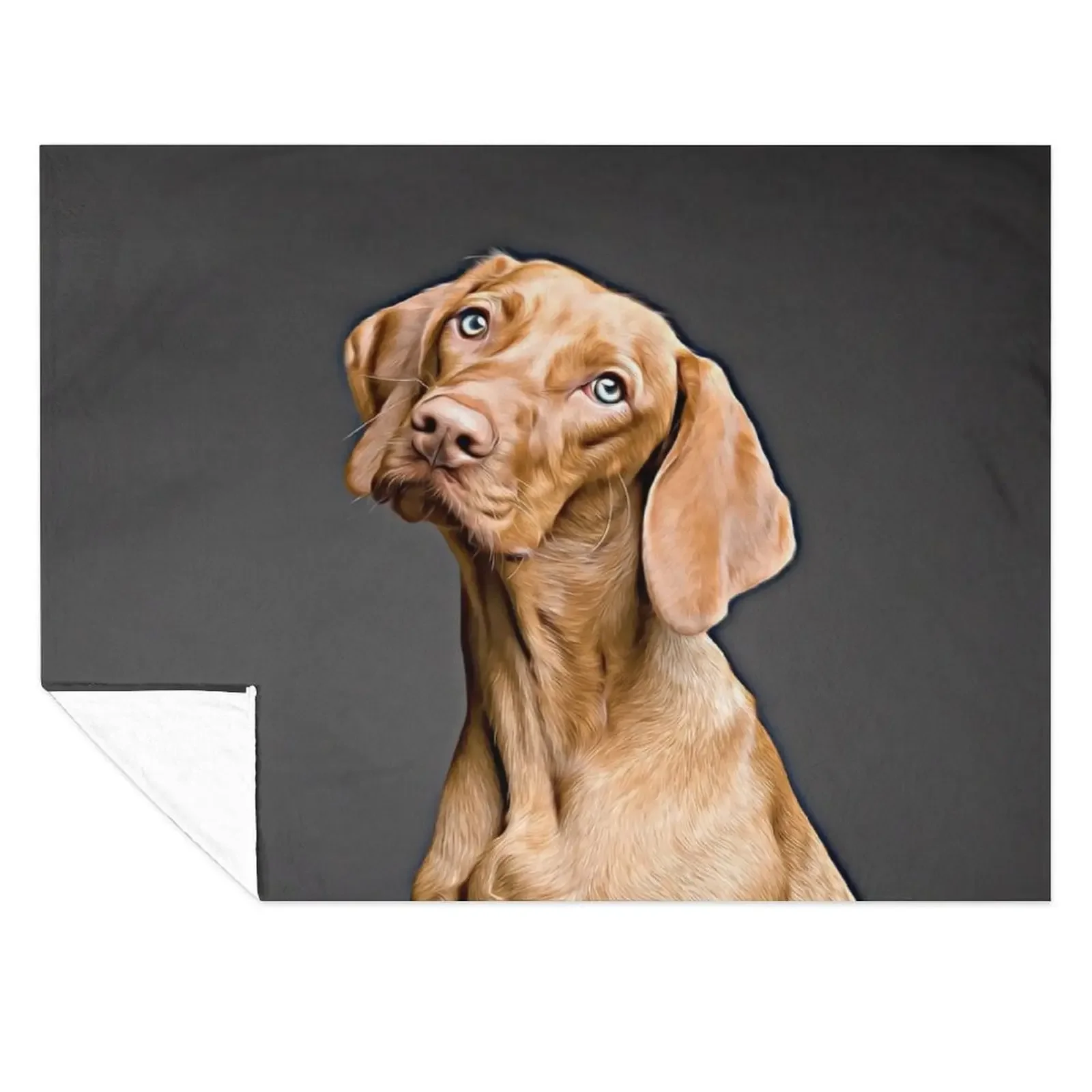 

Vizsla Strikes A Pose Throw Blanket Heavy Decorative Sofas Custom Baby Blankets