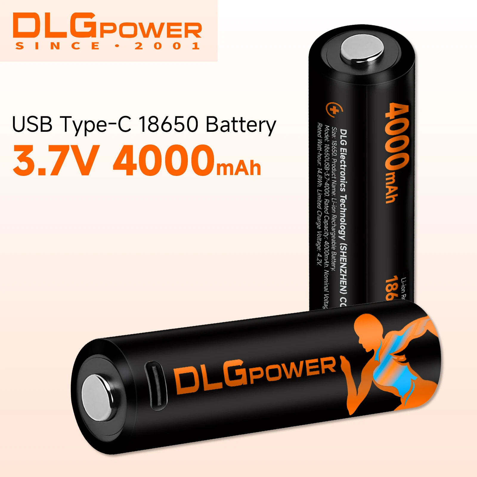

DLGPOWER USB 18650 Battery 3.7V 4000mAh with Type-C Rechargeable Li-ion Batteries for Flashlight Microphone Fan Electric Razor