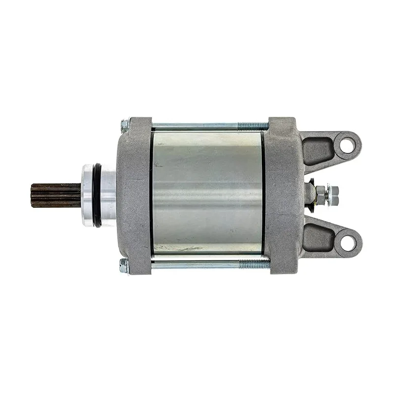 

Motorcycle Parts Starter Motor 21163-0717