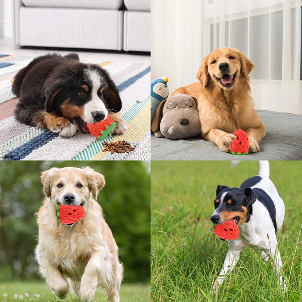 DualPet Dog Chew Toys Rubber Strawberry Shaped Food Leaking Toy Durable Eco-friendly Food Dispenser Dogs Toy