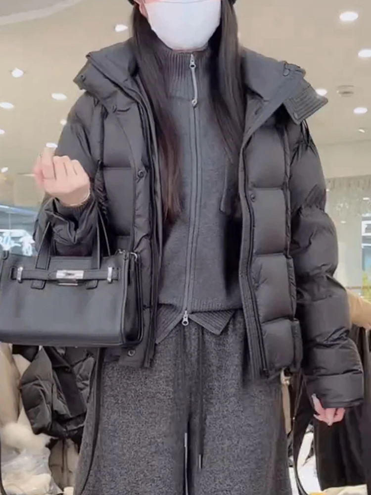 

Женская утепленная хлопковая куртка с капюшоном в корейском стиле, свободного кроя, с длинными рукавами, стандартной длины, с капюшоном