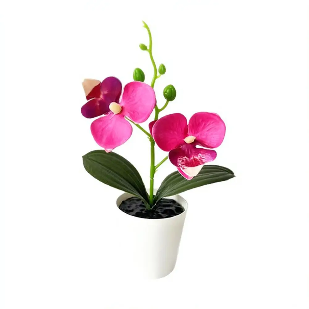 Artificial Phalaenopsis Potted Plant Mini Simulation Orchid Flower Desktop Ornament Fake Floral Decor For Home Living