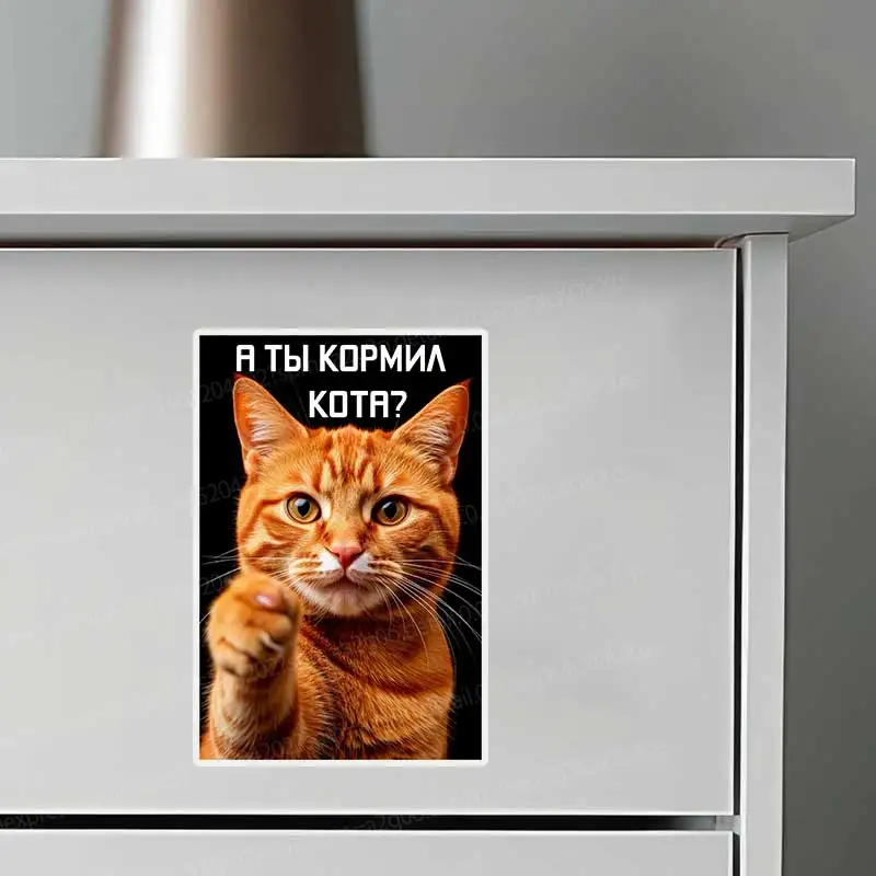 Funny Cat Wall Stickers 