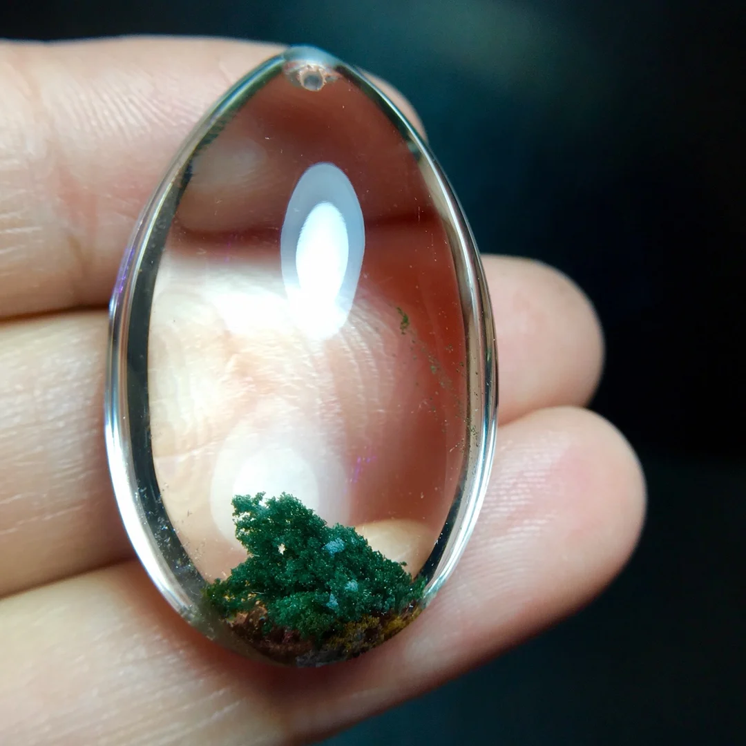 Natural Green Phant…