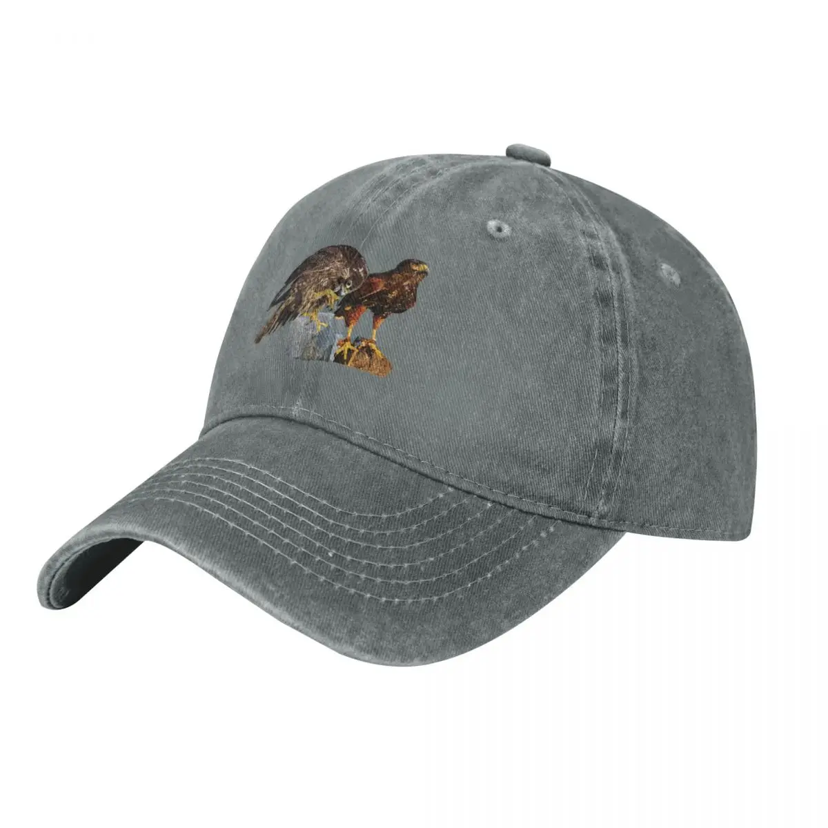 Peregrine Falcon and Harris's Eagle Baseball Cap Wild Ball Hat black Baseball Men Women's