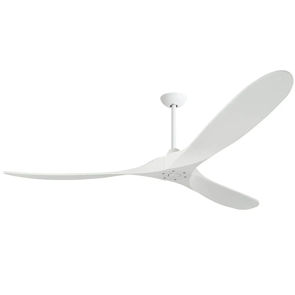 Modern Large Ceilin…