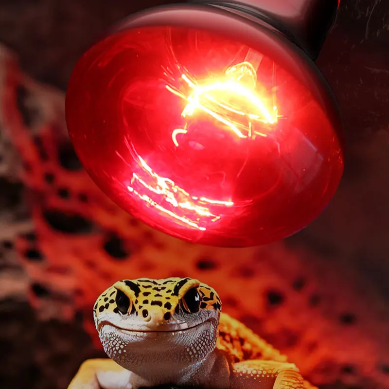 Reptile Heat Lamp 100V/220V Infrared Bulb for Pet Gecko Amphibian Terrarium Vivarium Heating Lighting Device Heater