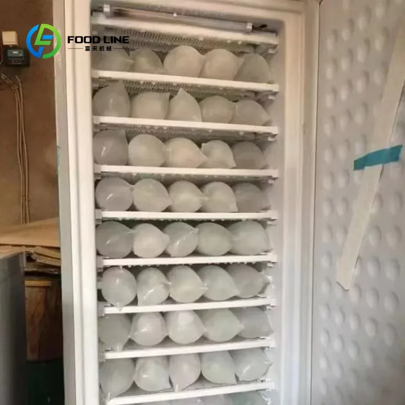 Customized DC AC 12V 24V Solar Ice Refrigeration Machine, 198L Ice Block Maker with 7&11 Layer Delivering 70kg Ice Per Day