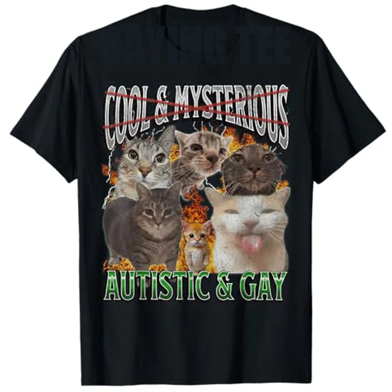 

Autistic and Gay Funny Cat Meme Bootleg Graphic T-Shirt Gay Lgbtq Unique Novelty Gift Humor Funny Kitty Saying Tee Short Sleeve