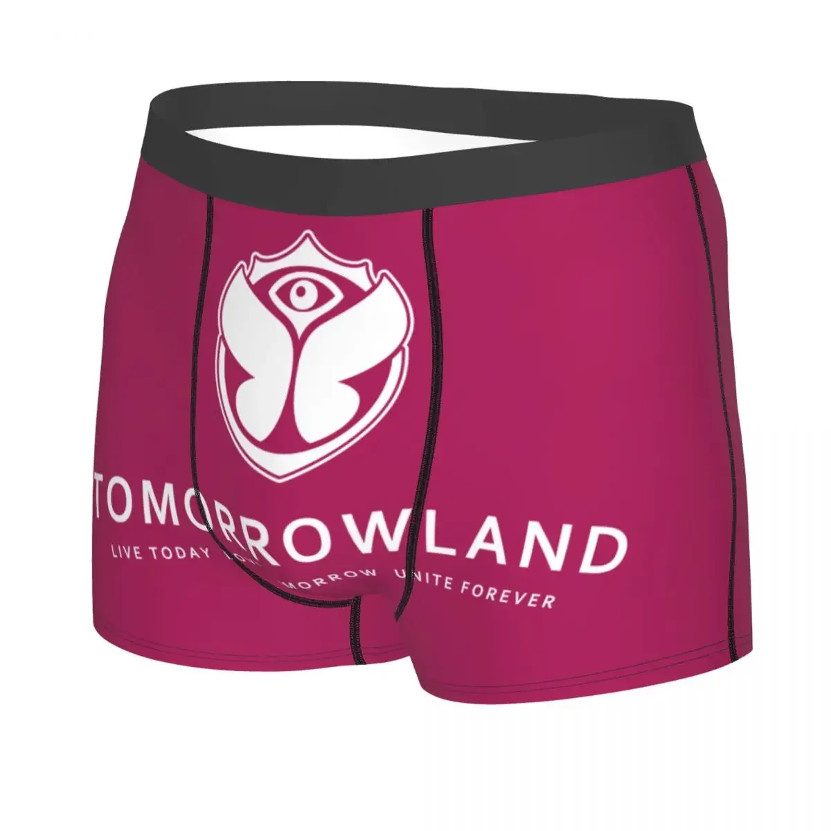 Tomorrowland Flag Boxers Shorts Panties Men's Underpants Breathbale Belgian Electronic Dance Music Festival Briefs Underwear