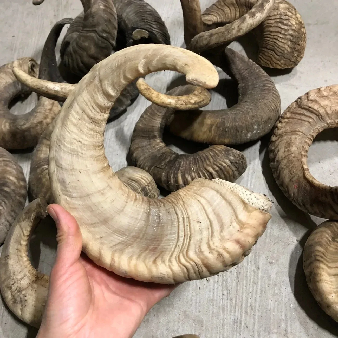 Old Cotton Sheep Corner Raw Materials, Scraping Board, Comb, Horn Beads, Raw Materials, Decorative Crafts