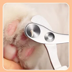 Coupe-ongles pour animaux de compagnie, ciseaux à griffes pour chats et chiens, coupe-ongles pour lapins et petits animaux, produits pour chats