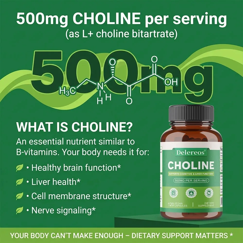 Choline, 500 Mg Per Serving, 120 Capsules | Supports Memory & Focus, Liver Function and Mental Clarity for Women and Men