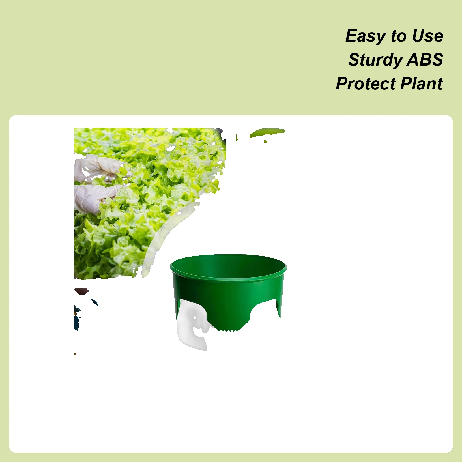 

Кольца для выращивания, 6 шт., круглые кольца для посадки по краям для наружного газона, двора, теплицы, овощей, кустарника, клумбы