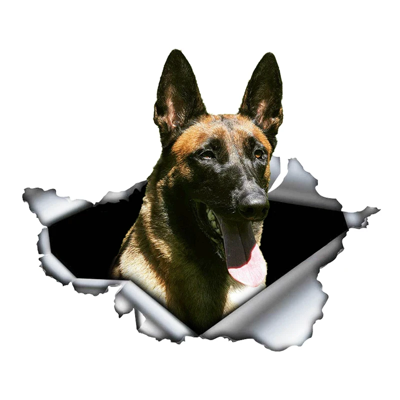

Y261# Car Sticker Belgian Shepherd Waterproof Vinyl Decal Car Accessories Pegatinas Para Coche DIY Car Styling
