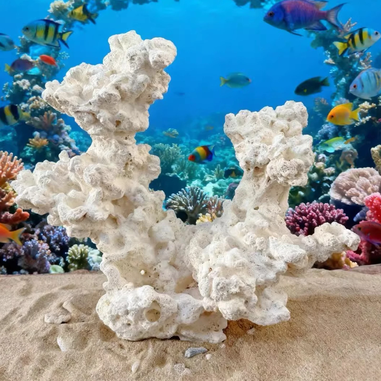 #20 Best Glass Aquarium Tanks to Buy In 2026