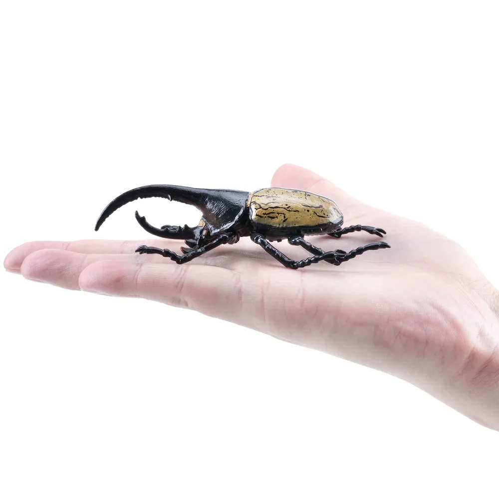 Toymany محاكاة الحشرات والخنفساء هرقل خنفساء نماذج للحيوانات لعبة شخصيات صغيرة دمى عمل التماثيل لعب الأطفال هدية