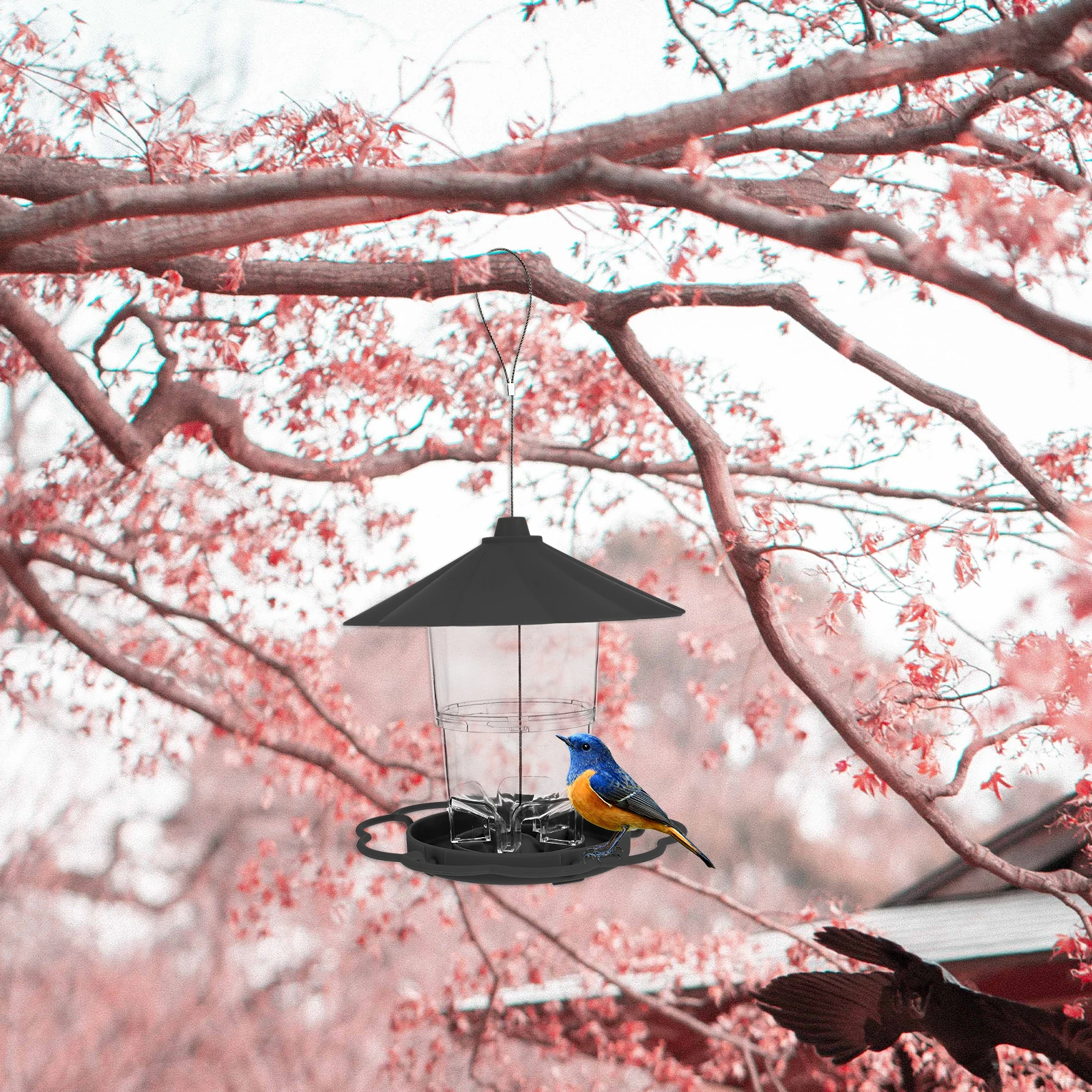 

1pc Hanging Bird Feeder Outdoor Garden Feed Station For Wild Birds Large Capacity Seed Dispenser Pull Cover