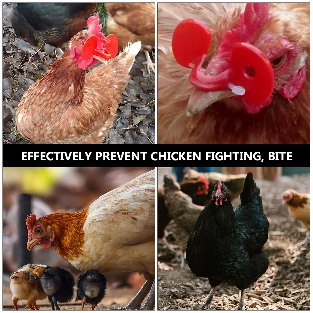 

150 Pcs Chicken Glasses Durable Plastic Safe Material Anti Pecking Poultry Supplies Suitable Chickens Roosters Hens Protective