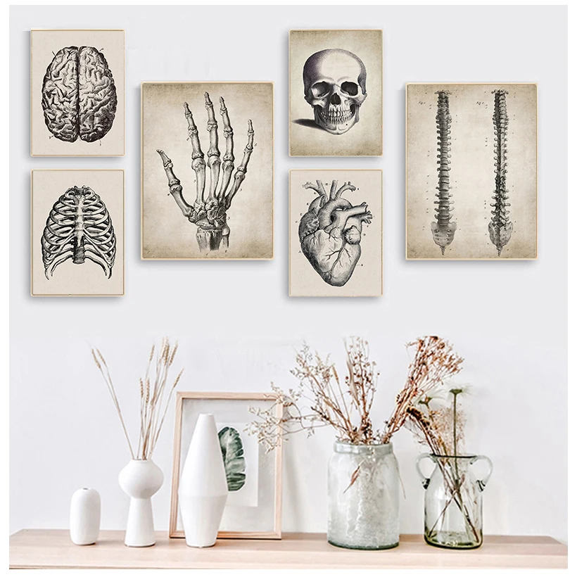 Brain Finger skull Human Anatomy Poster Vintage Wall Art Canvas Painting Nordic Posters And Prints Wall Pictures For Living Room